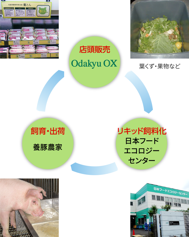 店頭販売 Odakyu OX 飼育・出荷 養豚農家 リキッド飼料化 日本フードエコロジーセンター 葉くず・果物など