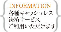 各種キャッシュレス決済サービス