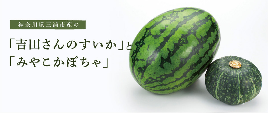 神奈川県三浦市産の「吉田さんのすいか」と「みやこかぼちゃ」