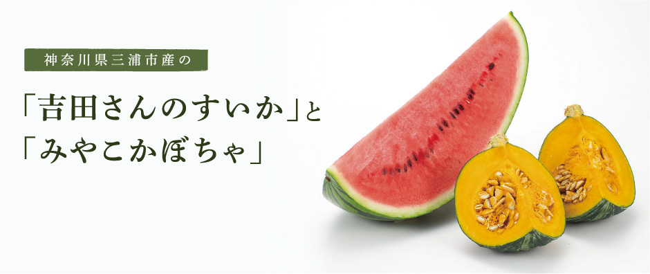 神奈川県三浦市産の「吉田さんのすいか」と「みやこかぼちゃ」