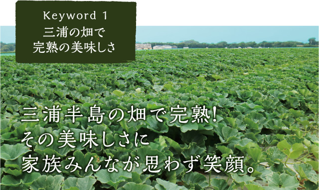 三浦半島の畑で完熟！その美味しさに家族みんなが思わず笑顔。