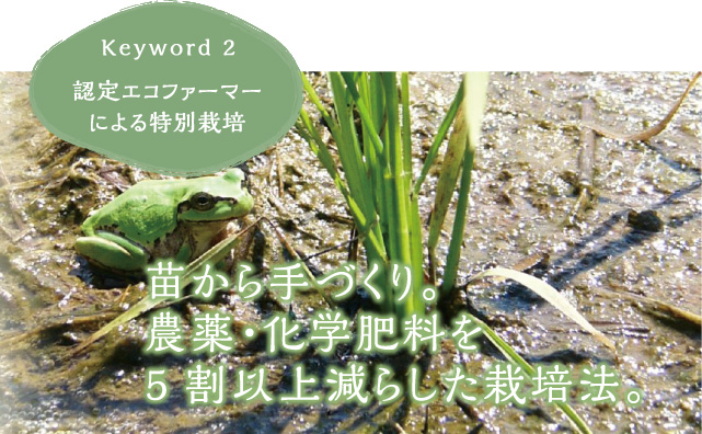 苗から手づくり。農薬・化学肥料を5割以上減らした栽培法。