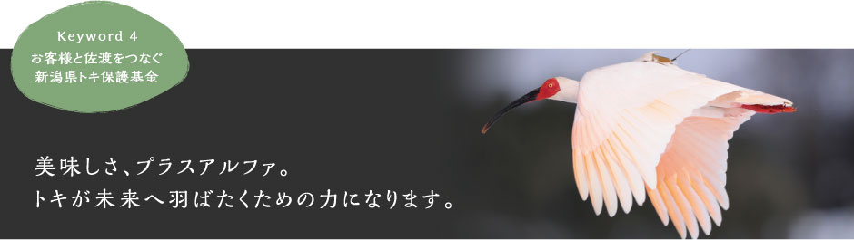 美味しさ、プラスアルファ。トキが未来へ羽ばたくための力になります。