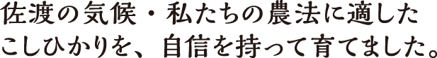 佐渡の気候・私たちの農法に適したコシヒカリを、自信を持って育てました。