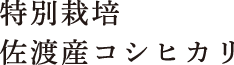 特別栽培佐渡産コシヒカリ