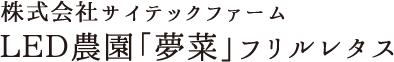 株式会社サイテックファームLED農園「夢菜」フリルレタス