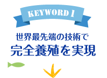 keyword1 世界最先端の技術で完全養殖を実現