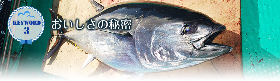 keyword3 おいしさの秘密
