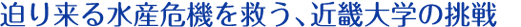 迫り来る水産危機を救う、近畿大学の挑戦