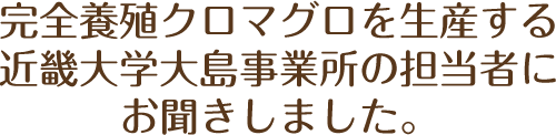 完全養殖クロマグロを生産するアーマリン近大さんに聞いてみました。