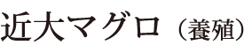 近大マグロ(養殖)